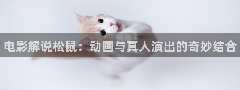 91茄子视频