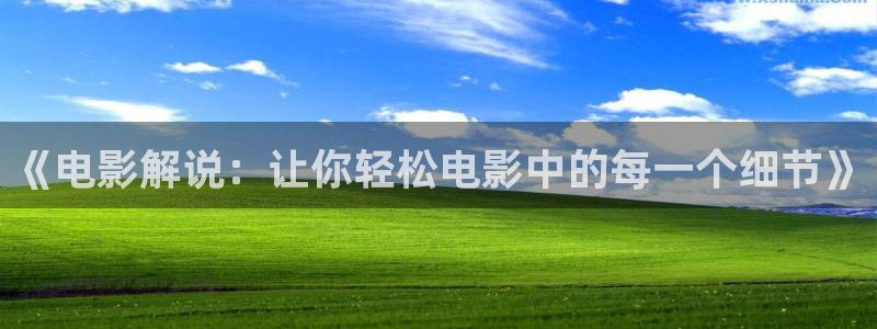 樱桃茄子视频