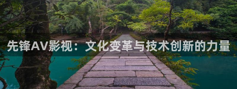 茄子视频了