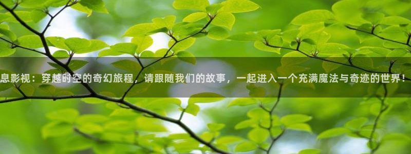 樱桃茄子视频