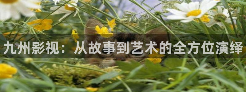 茄子视频无限看丝瓜视频丝瓜视免费观看