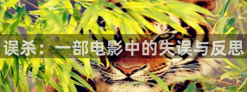 茄子视频 magnet