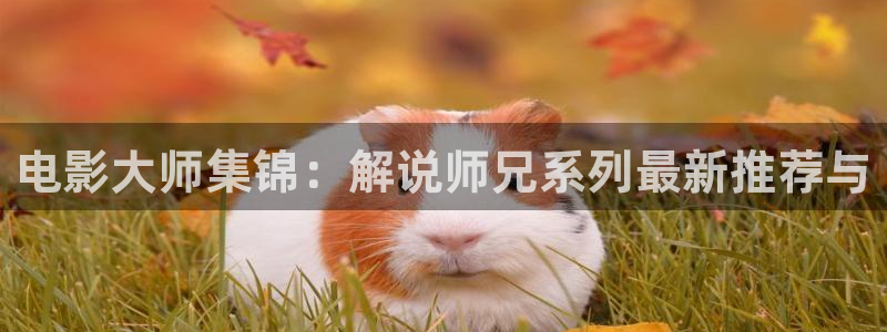 茄子视频了