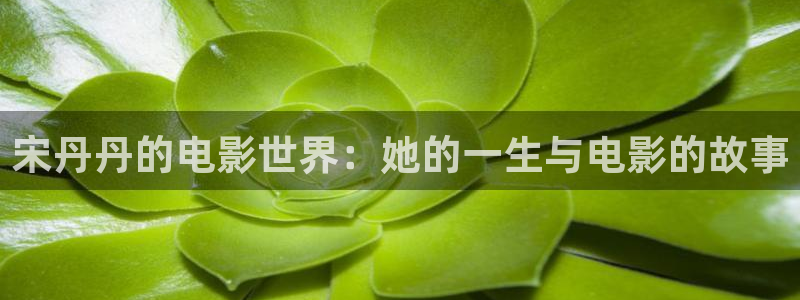 qiezi茄子视频