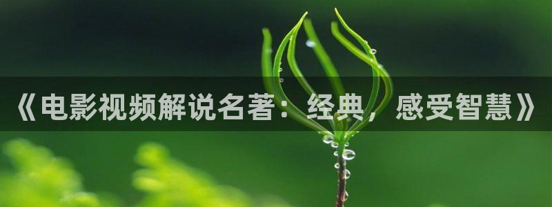 茄子视频qz