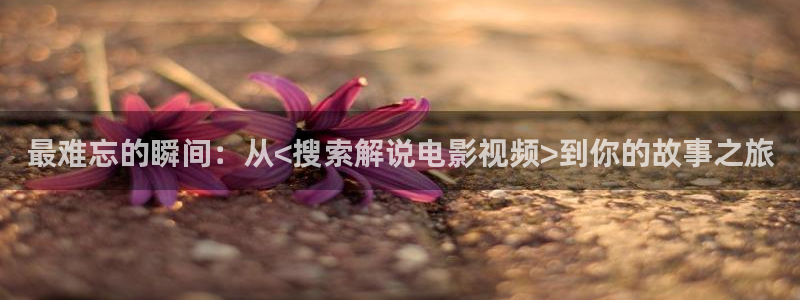 茄子视频qz