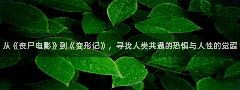 qiezi 茄子视频