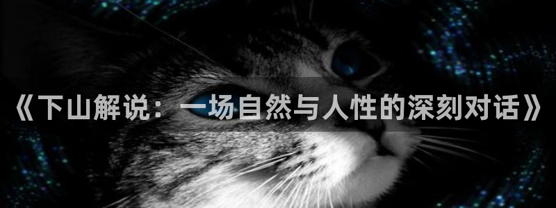 qiezi 茄子视频