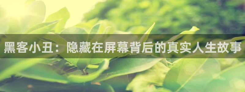 大茄子视频