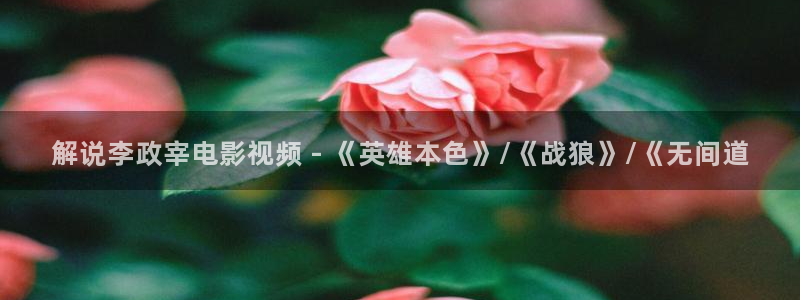 樱桃茄子视频