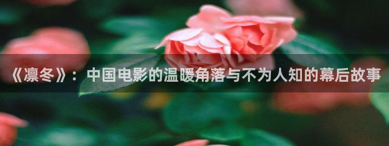 丝瓜茄子视频在线观看