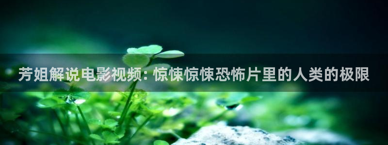 樱桃茄子视频