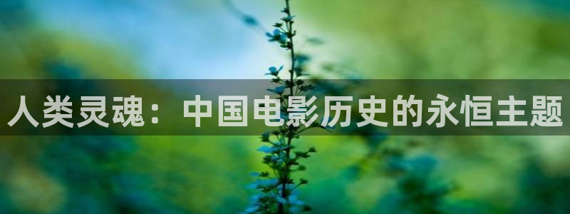 茄子视频 magnet
