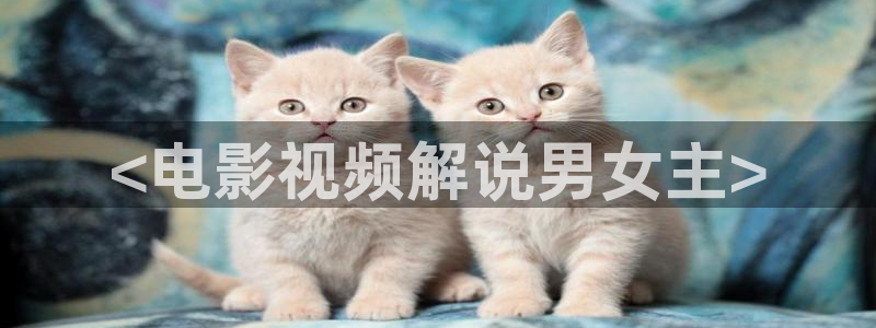 樱花视频茄子视频