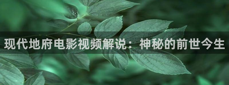 小优视频茄子视频
