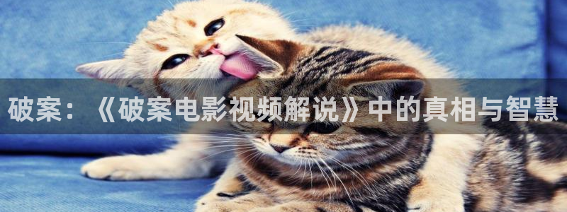 丝瓜茄子视频在线观看