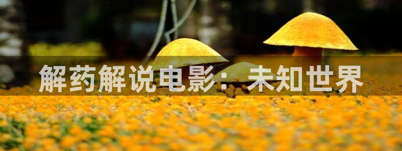 大茄子视频