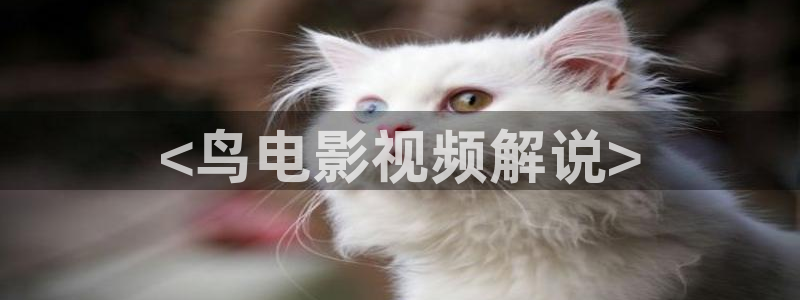 丝瓜茄子视频在线观看