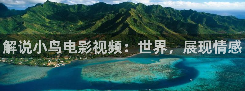 四虎茄子视频