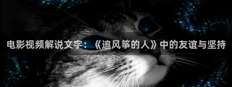 茄子视频www