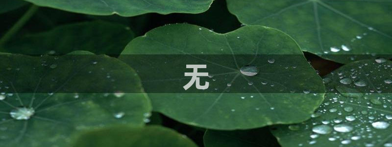 茄子视频
