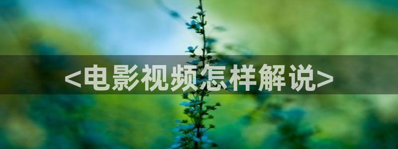 丝瓜茄子视频在线观看