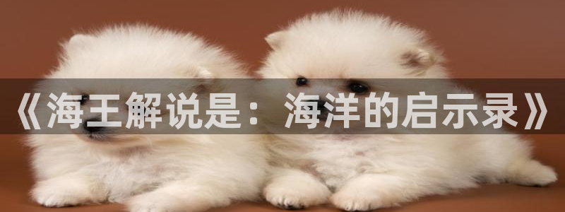 大茄子视频