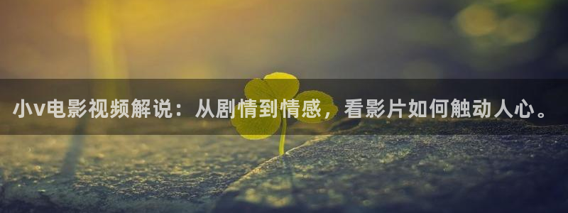茄子视频一