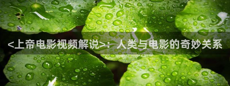 qiezi 茄子视频