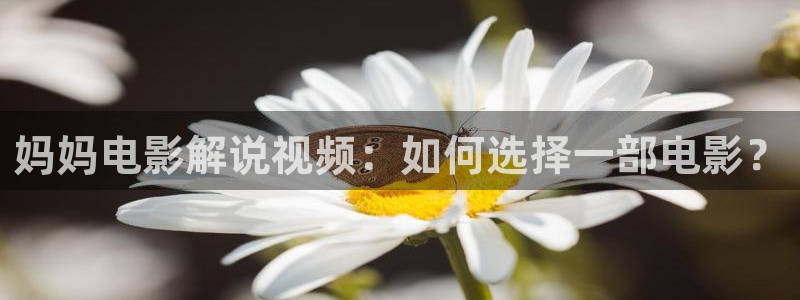 茄子视频无限看丝瓜视频丝瓜视免费观看