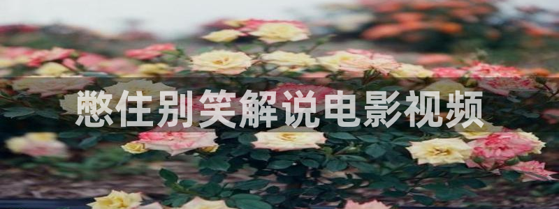 茄子视频无限看丝瓜视频丝瓜视免费观看