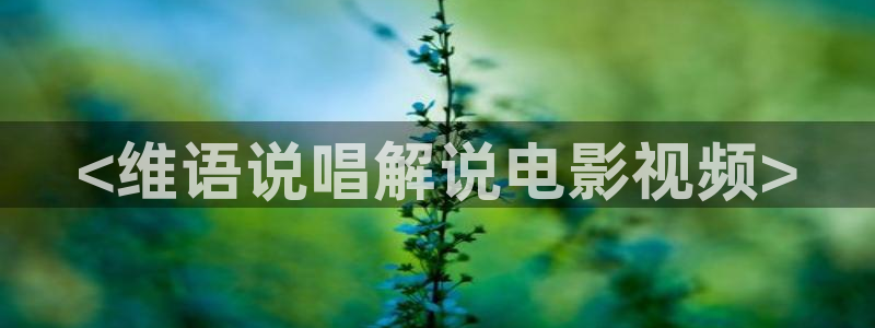 茄子视频a