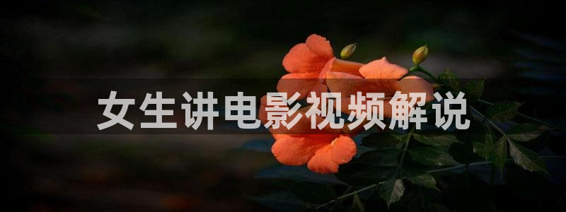 茄子视频www