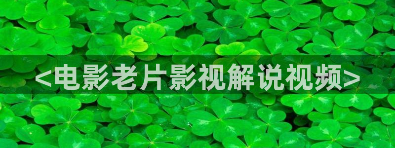 茄子视频了