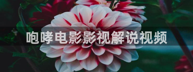 茄子视频a
