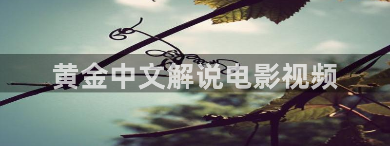 茄子视频