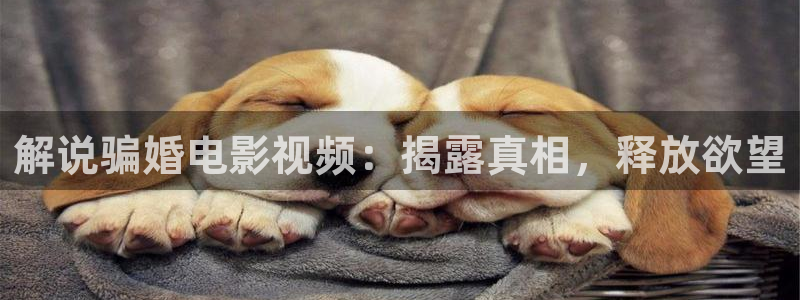 茄子视频qz