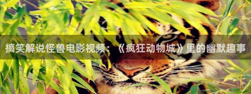 茄子视频18
