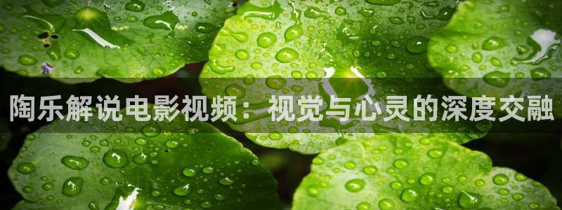 茄子视频一