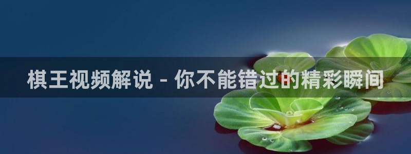 茄子视频