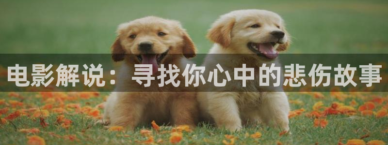 qiezi茄子视频