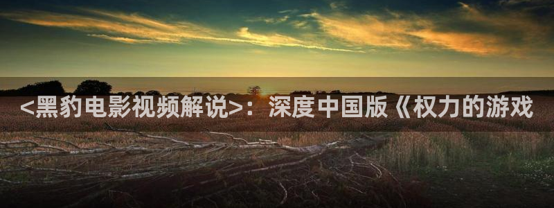 大茄子视频