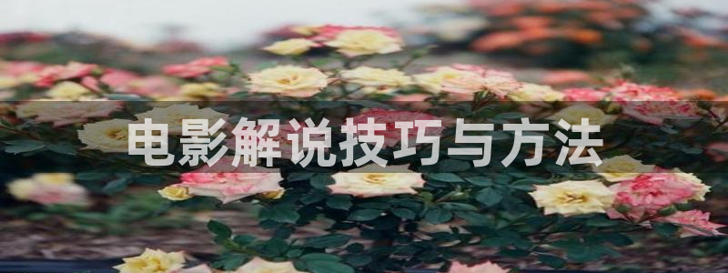 茄子视频 magnet