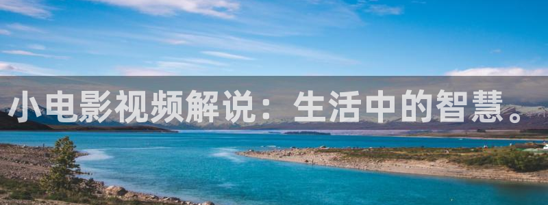 茄子视频色版