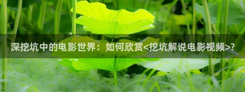 茄子视频www