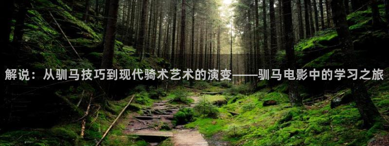 四虎茄子视频