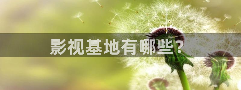 茄子视频qz