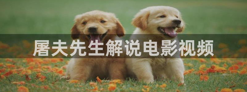 茄子视频色版