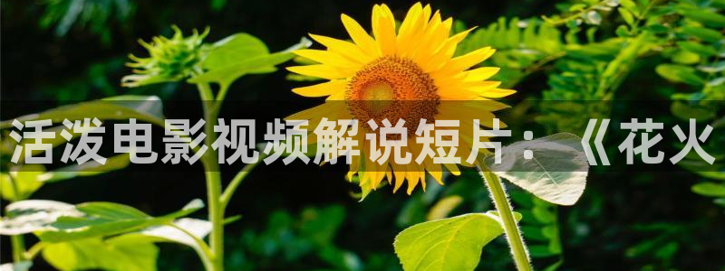 茄子视频一