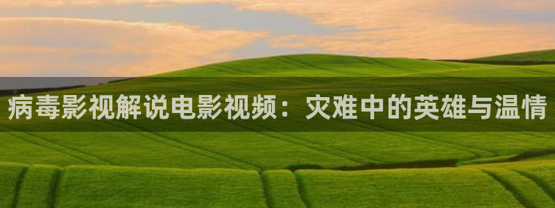 茄子视频视频